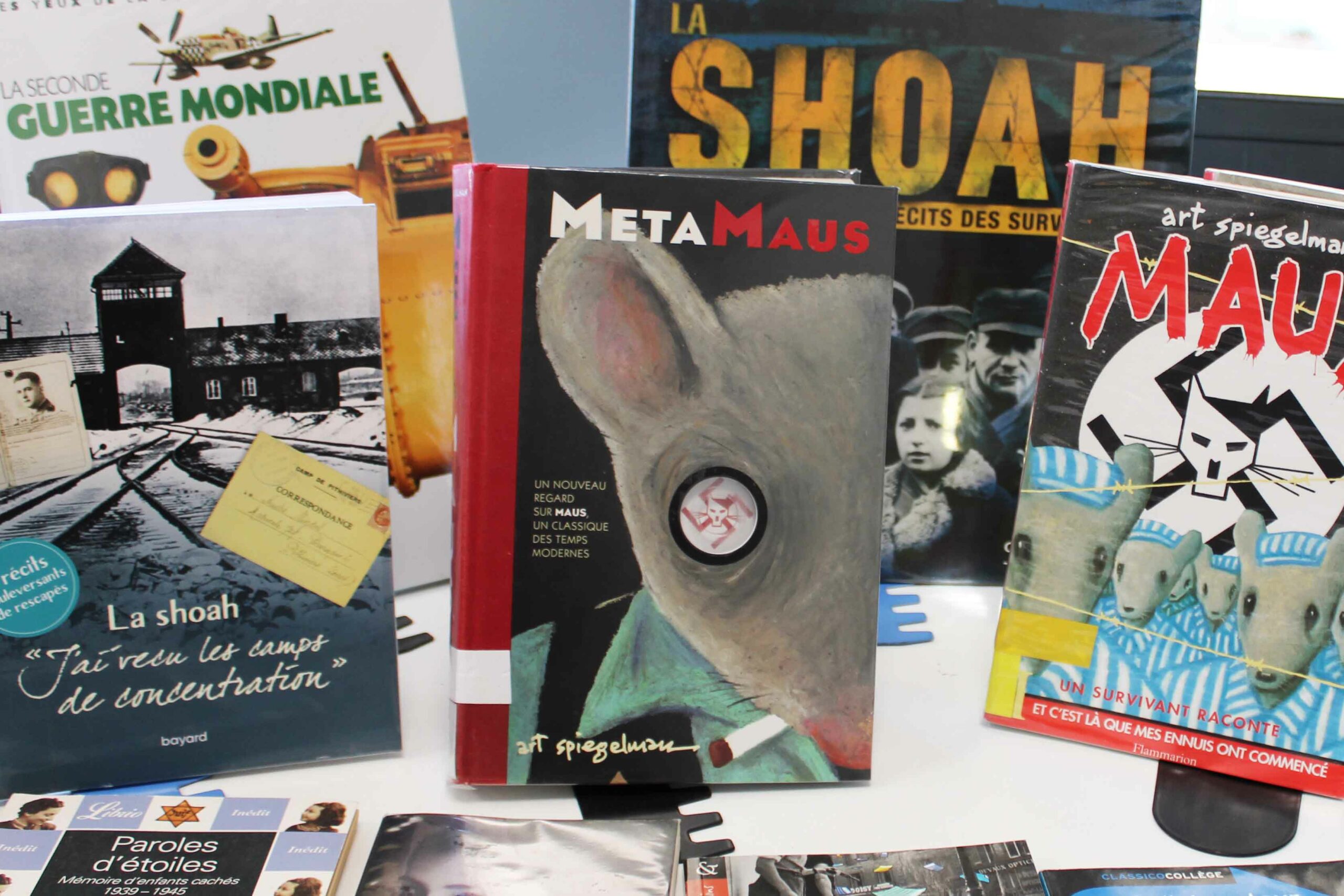 notre dame de la tramontane collège cdi