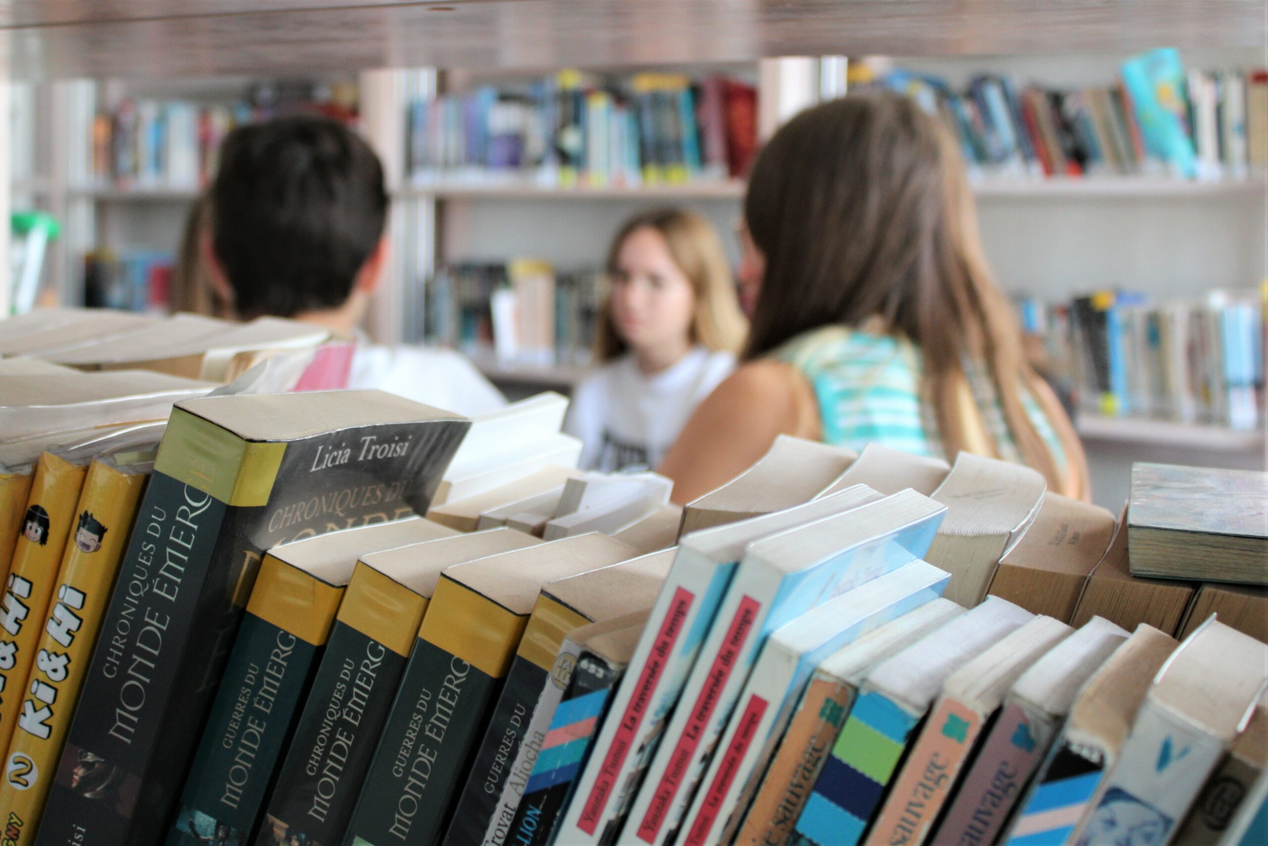 notre dame de la tramontane college cdi